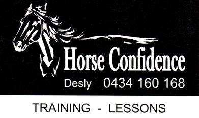 Horse Confidence 